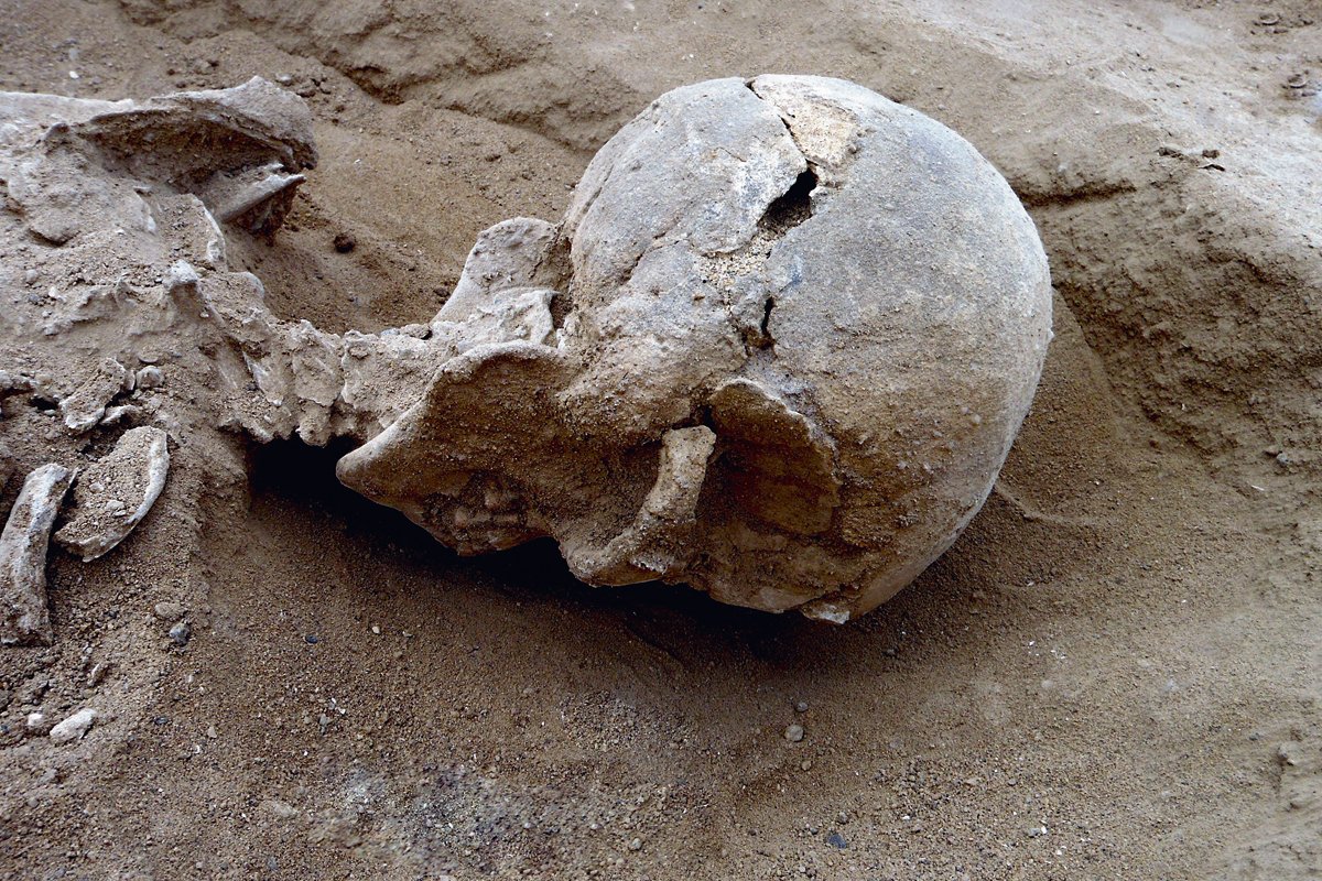 Ossada achada no Quênia: evidência de que a guerra é ancestral