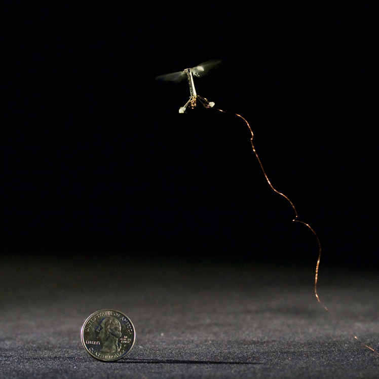 O inseto-robô de Harvard: múltiplos usos