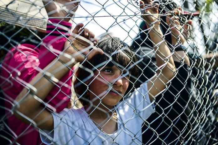 4PL520_REFUGIADOS1