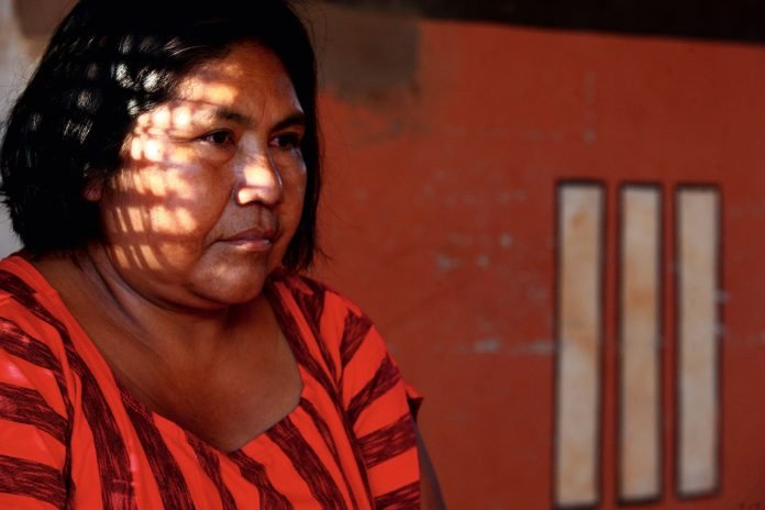 6_PL519_Xingu1