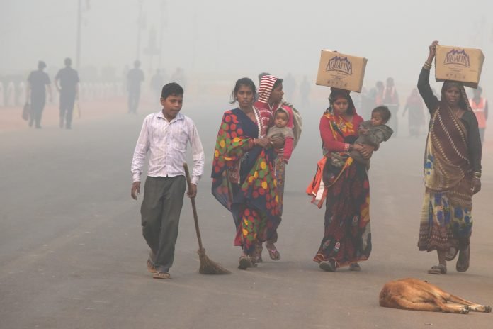 7_pl537_india