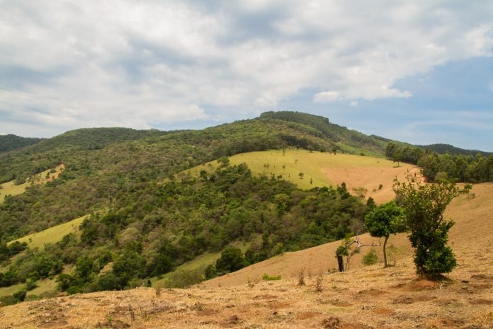 Mantiqueira-credito_ErikLopes (2) (1)