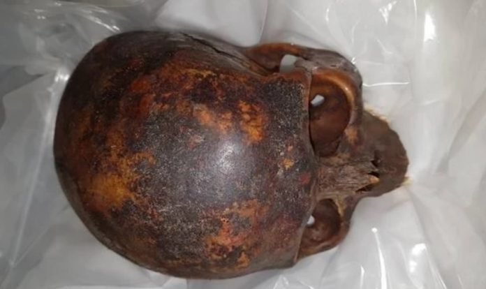 CranioOCruzado
