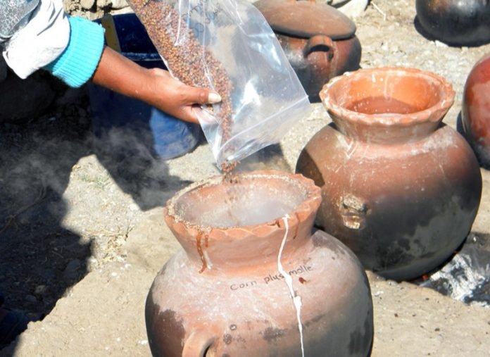 Beer Pesquisadores do Field Museum, de Chicago, trabalharam com cervejarias peruanas de hoje para recriar o processo de fabricação de cerveja usado nos tempos antigos, quando o império Wari desfrutava dos aspectos cervejeiros e sociais da cerveja / Foto: Divulgação