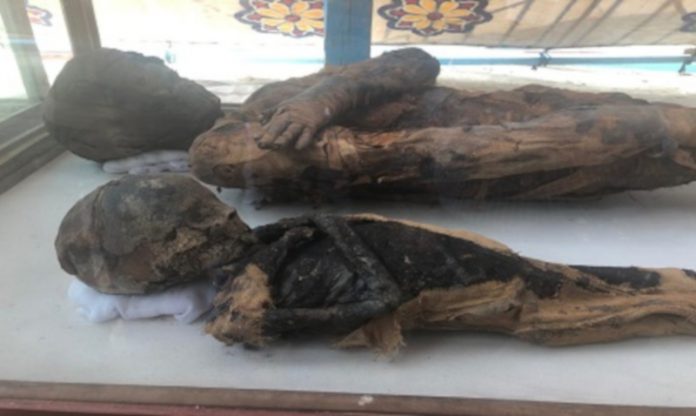 Múmias encontradas no Egito
