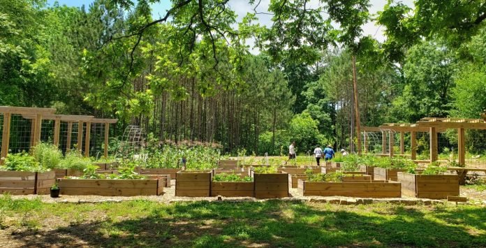 Atlanta-UrbanFoodForest