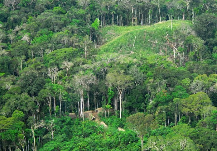 AmazoniaAcre