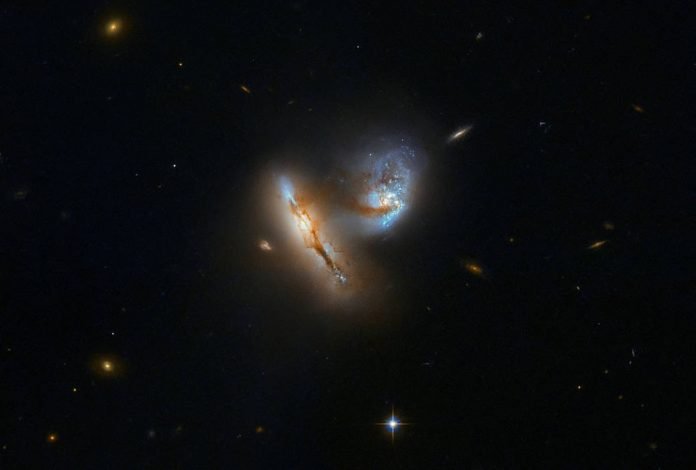 Galaxias