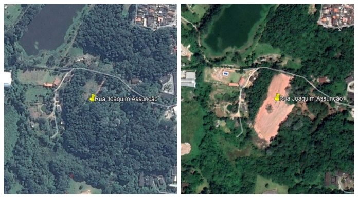 montagem_desmat_sp desmatamento Mata Atlântica
