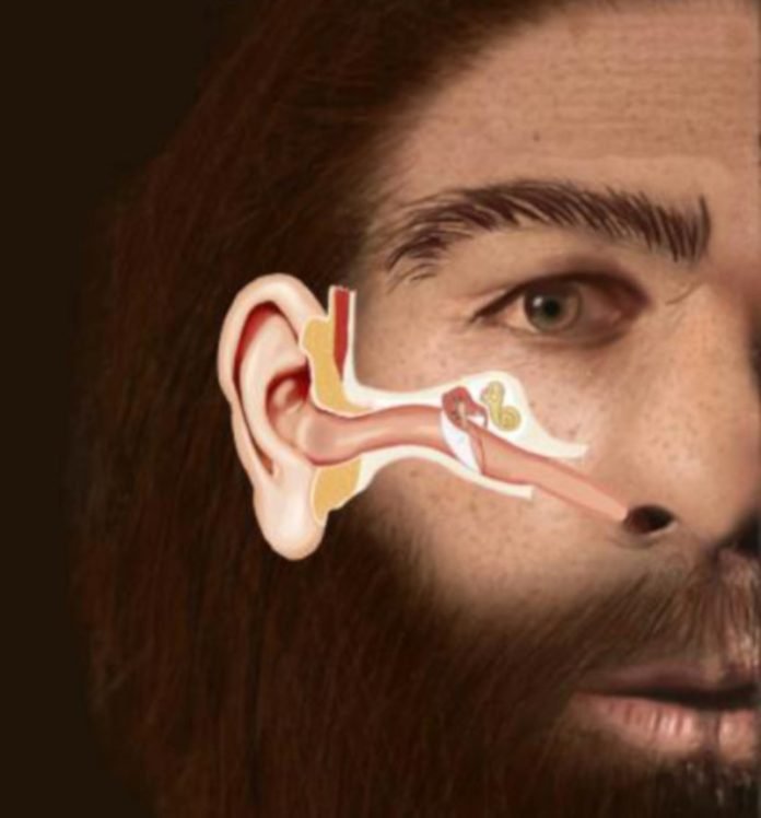neandertal_ouvido_2