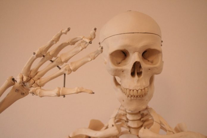 skeleton-3746305_1280