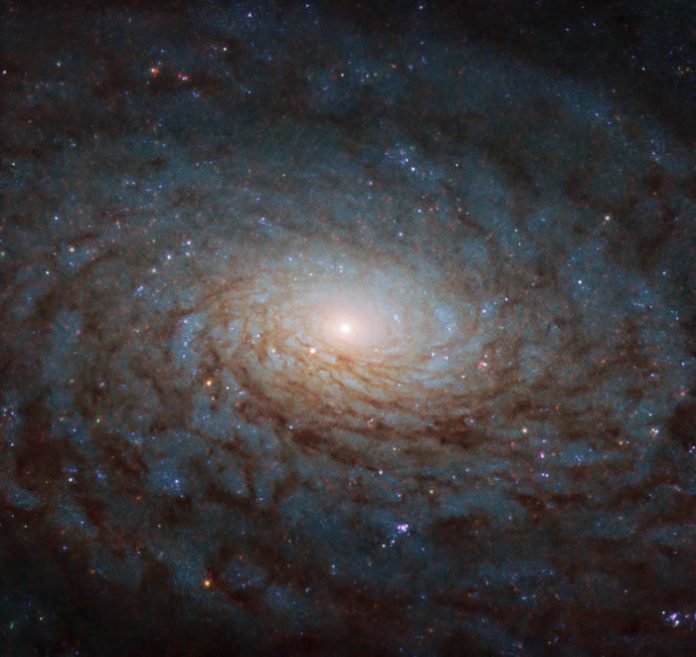 Galaxia