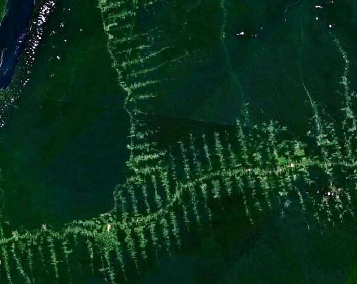 Amazonia