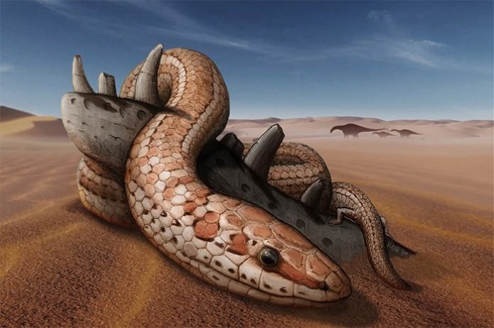 Cobra2