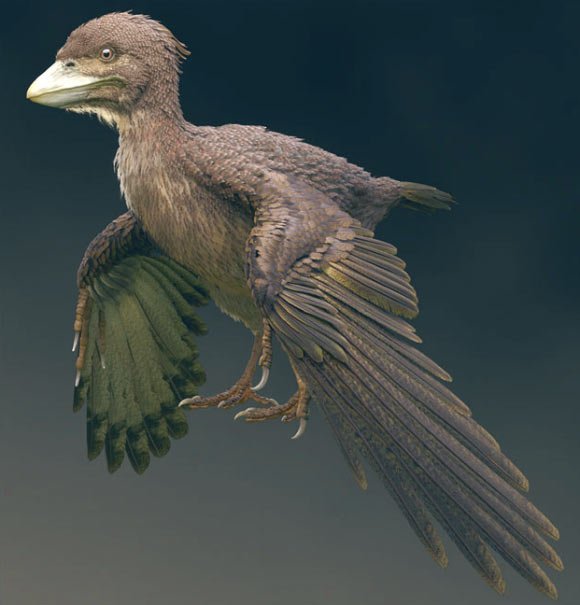 Fukuipteryx