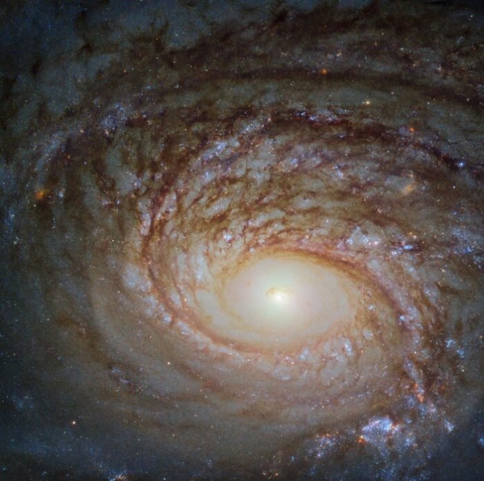 Galaxia