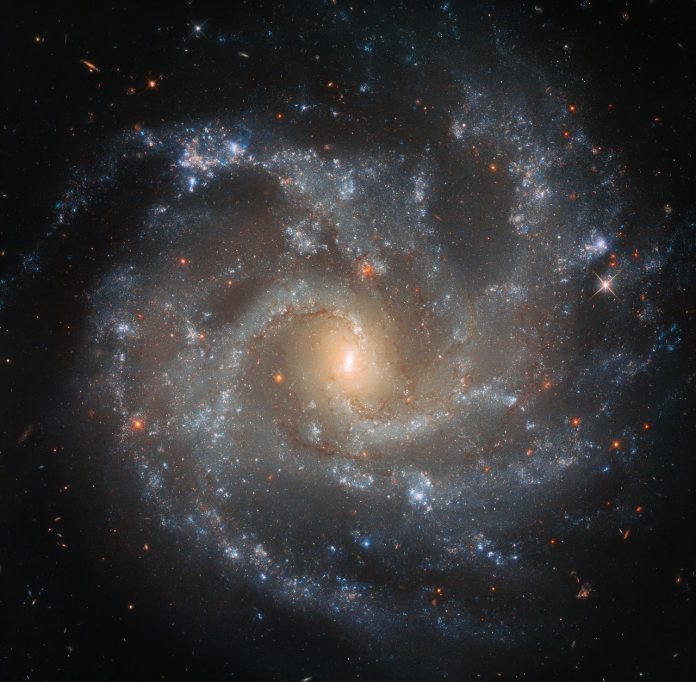 Galaxia