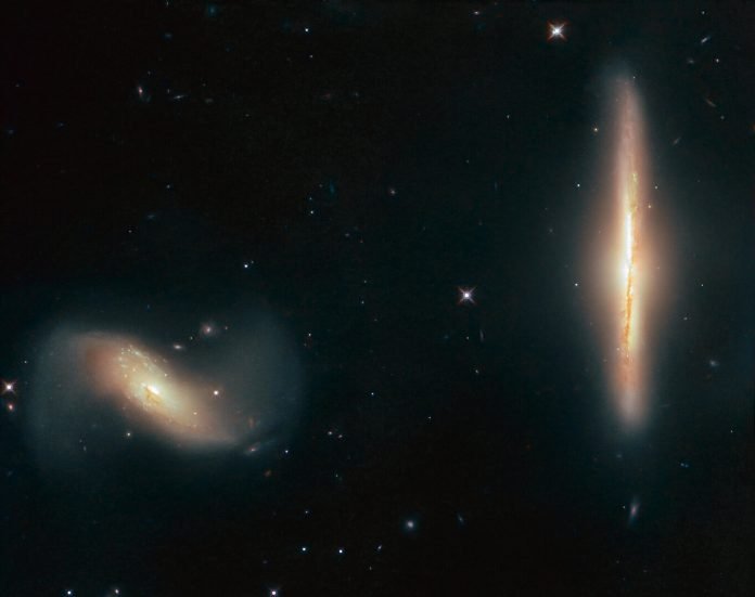 Galaxias