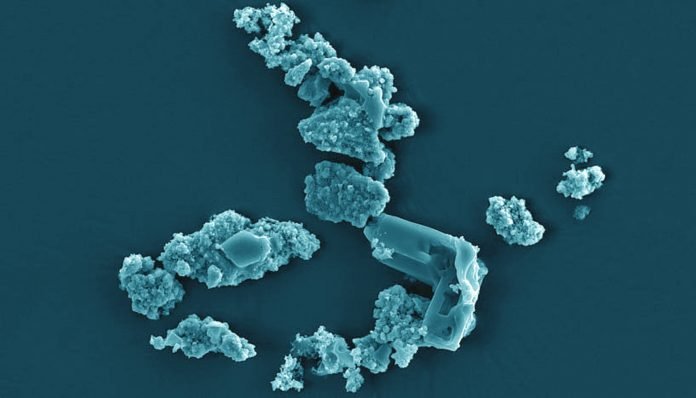 MSedulla