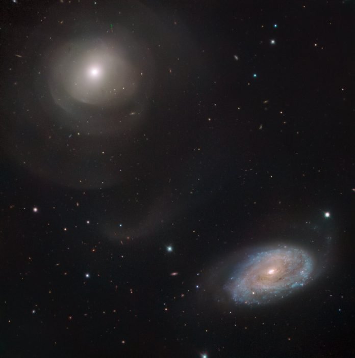 Galaxias
