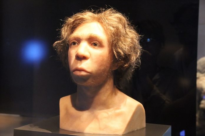 Neandertal2