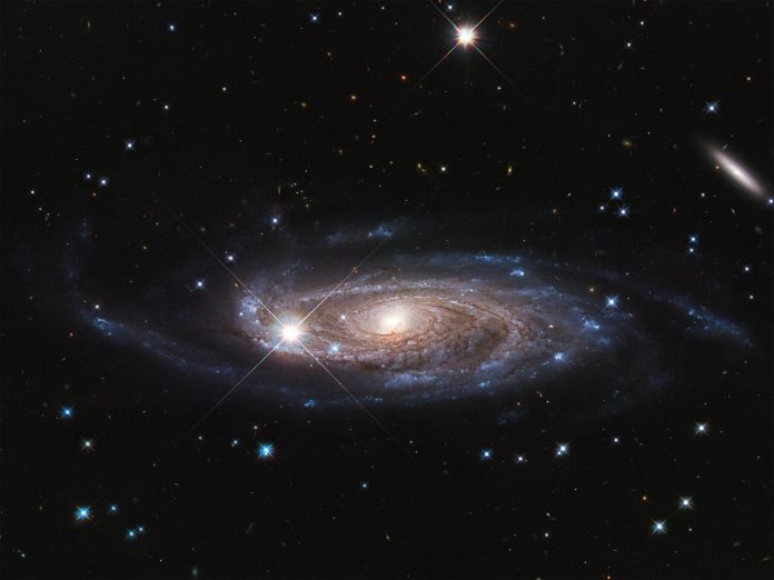 Supergalaxia