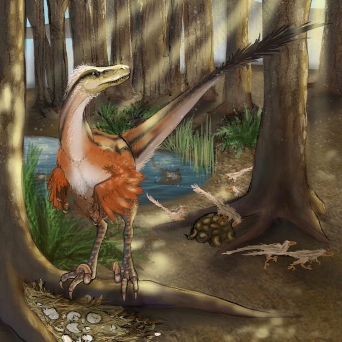 Dino