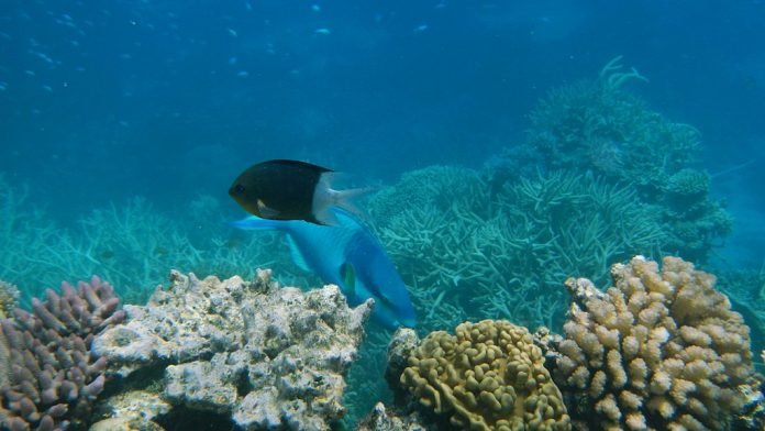 GBR