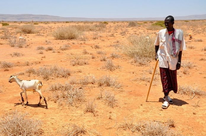 Somalia