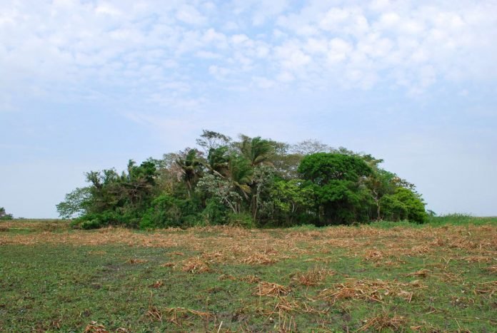 Llanos