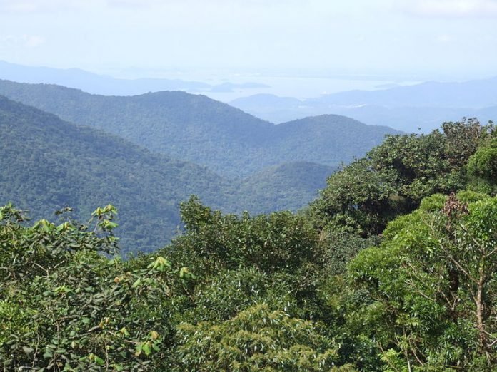 MataAtlantica