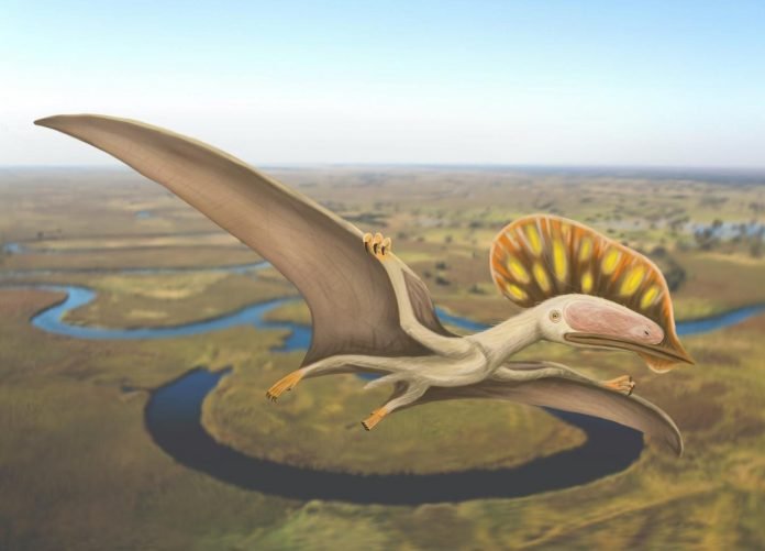 Pterodactilo