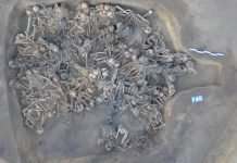 Genomas antigos revelam detalhes da migração humana no norte da China