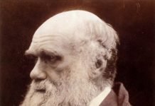 Covid-19: na ‘sobrevivência do mais apto’, sistema imunológico é a chave