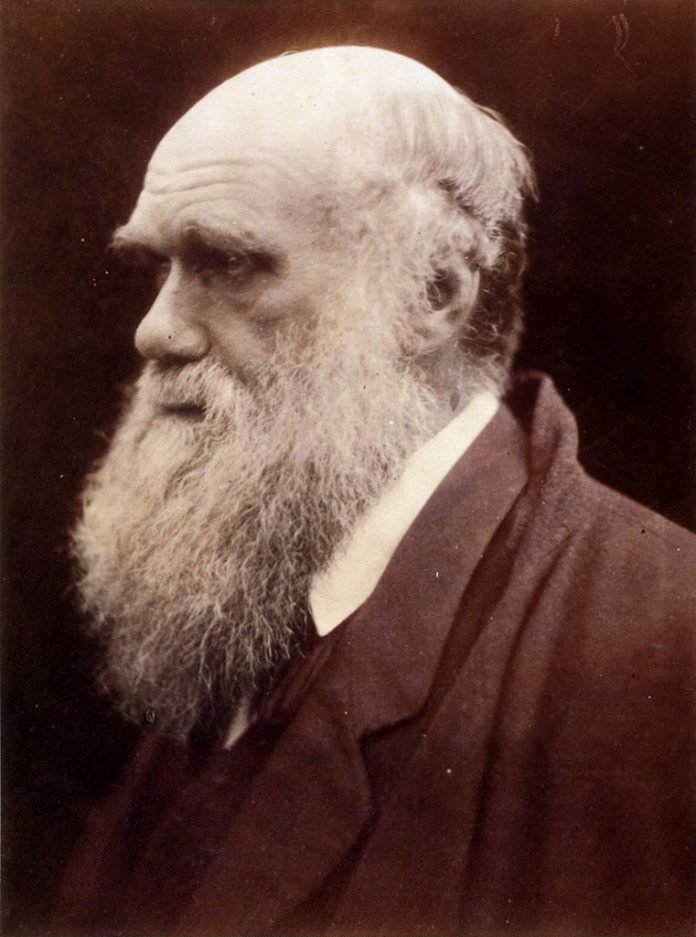 Darwin_by_Julia_Margaret_Cameron_3