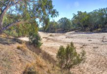 Secas mais longas e intensas virão, indicam novos modelos climáticos