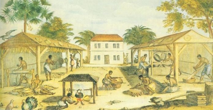 TabacoVirginia
