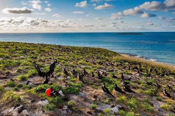 Abrolhos