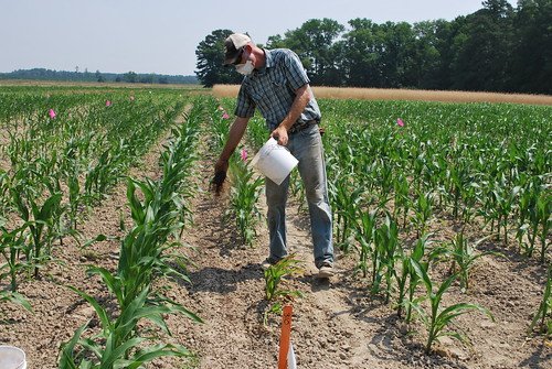 Agricultura