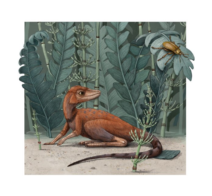 Dino1