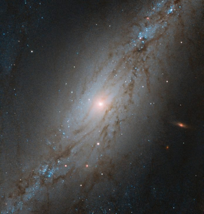 Galaxia