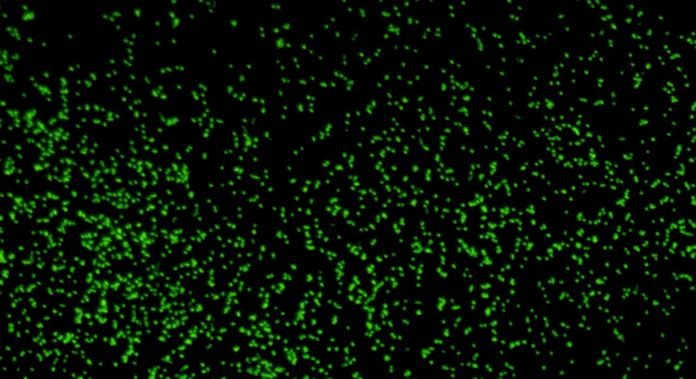Microbios