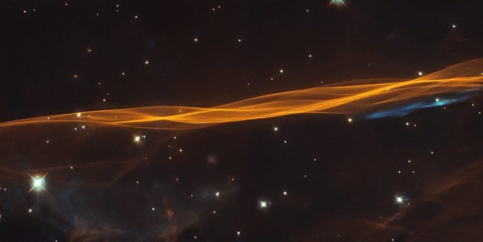 Cygnus