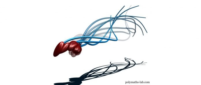 Espermatozoide1