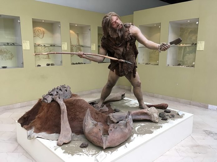 Neandertal