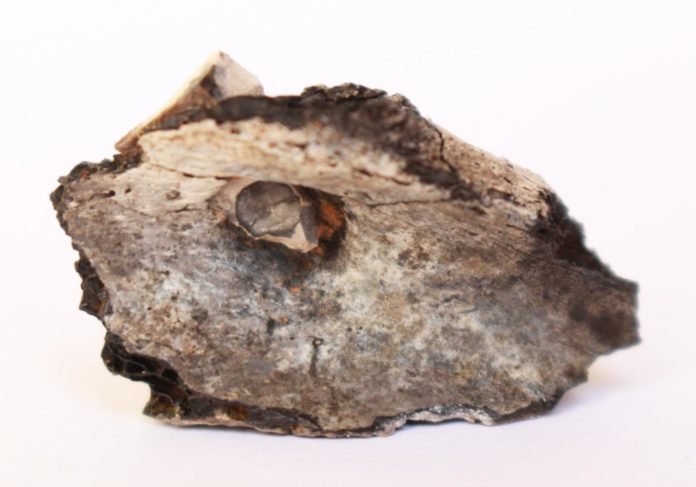 Pedra