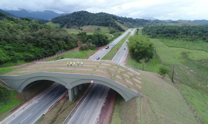 Viaduto