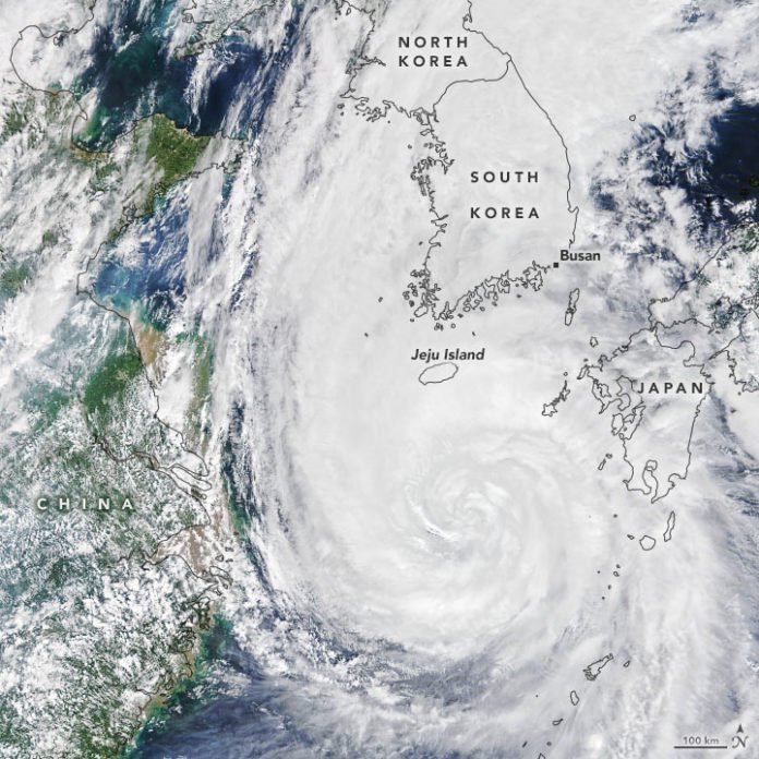 maysak_tmo_2020246