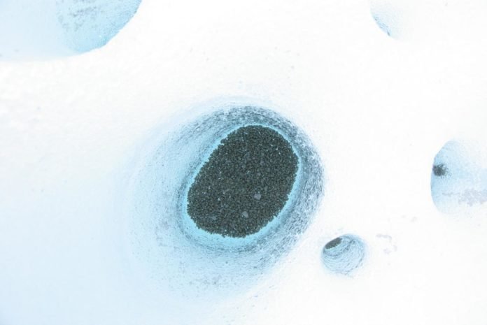 Virus