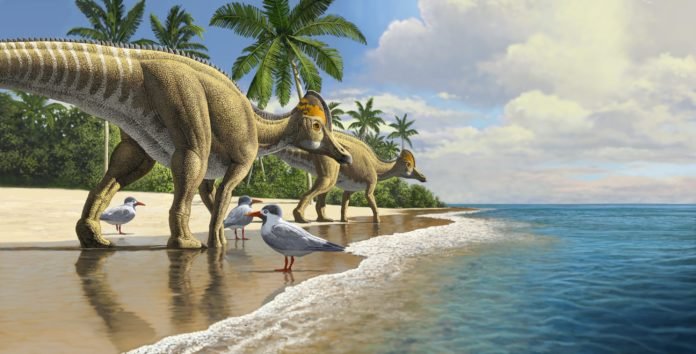 Dino1